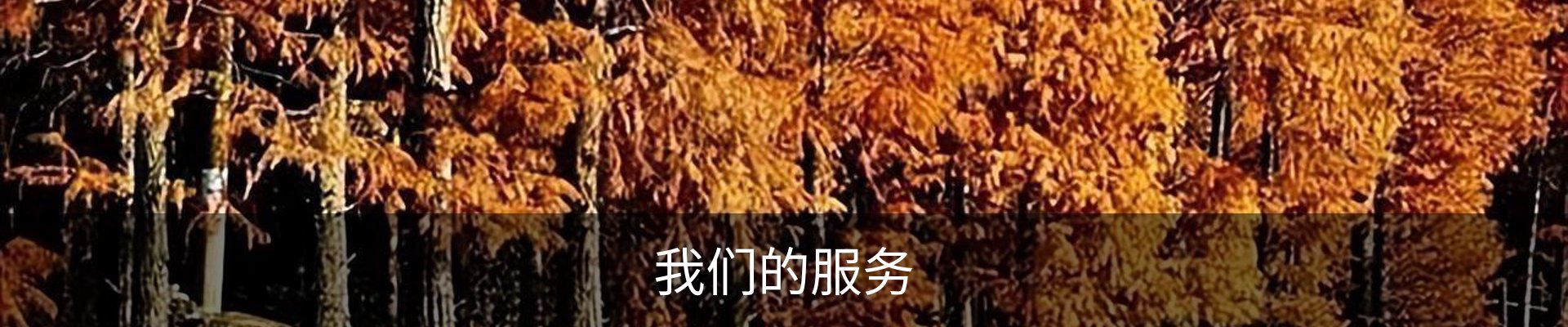 我们的服务